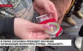 В парке Сосновка проходят обучение начинающие волонтеры отряда «ЛизаАлерт»