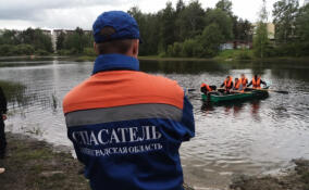 Спасатели доставили пассажирку теплохода с травмой головы на берег