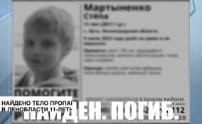 Найдено тело пропавшего в Ленобласти 11-летнего мальчика