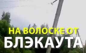 Кордон Пери оказался на волоске от блэкаута из-за гнилых опор ЛЭП