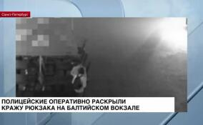 Полицейские оперативно раскрыли кражу рюкзака на Балтийском вокзале