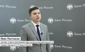 Иван Пантюков рассказал, почему финансовые пирамиды в сети пользуются популярностью