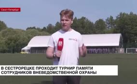 В Сестрорецке проходит турнир памяти сотрудников вневедомственной охраны