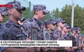 Турнир памяти сотрудников вневедомственной охраны проходит в Сестрорецке