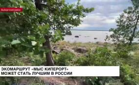 Экомаршрут «Мыс Киперорт» может стать лучшим в России