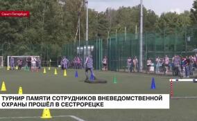 Турнир памяти сотрудников вневедомственной охраны прошел в Сестрорецке