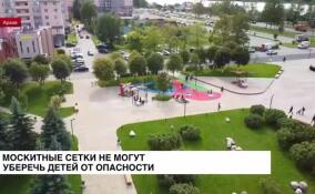 Москитные сетки не могут уберечь детей от опасности