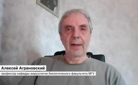 Алексей Аграновский: всплеск смертности от коронавируса маловероятен