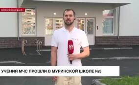 В преддверии начала учебного года в школе №5 в Мурино провели учения МЧС