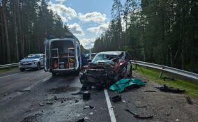 Два человека погибли в жестком ДТП на трассе «Сортавала»