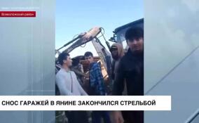 Снос гаражей в Янино закончился стрельбой