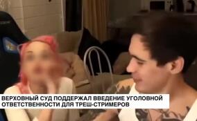 Верховный суд поддержал введение уголовной ответственности для треш-стримеров