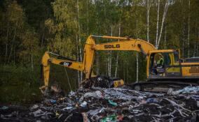 В Светогорске начали рекультивировать городскую свалку