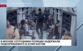 В Москве сотрудники полиции задержали подозреваемого в хулиганстве