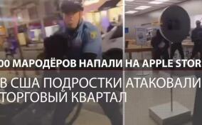 В США сотня подростков под видом протестов разграбила Apple store