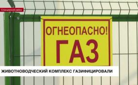 Газификация Ленинградской области продолжается