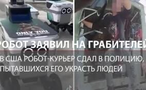 В США робот-курьер сдал в полицию воров, которые пытались его похитить