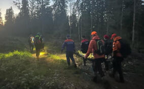 В Ленобласти спасатели вынесли из леса женщину с поврежденной ногой