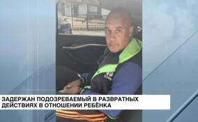 Задержан подозреваемый в развратных действиях в отношении ребенка