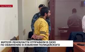 Жителя Ленобласти отправили в СИЗО по обвинению в избиении полицейского