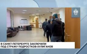 В Санкт-Петербурге заключили под стражу подростков-хулиганов