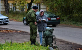 Родственники военных могут оформить новые меры поддержки в МФЦ Ленобласти