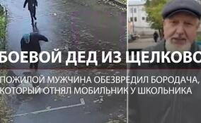 Дед остановил грабителя: пожилой житель Щёлково обезвредил мужчину, отнявшего телефон у ребёнка