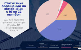 Почти 24 тысячи звонков поступило за неделю в службу «112» Ленобласти