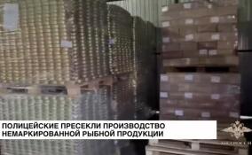 Полицейские пресекли производство немаркированной рыбной продукции