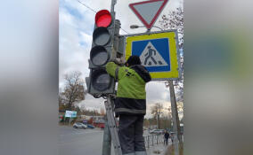 На Дороге жизни создадут «зеленую волну»