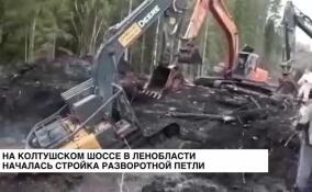 На Колтушском шоссе в Ленобласти началась стройка разворотной петли