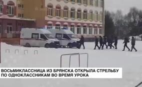 Восьмиклассница из Брянска открыла стрельбу по одноклассникам во время урока