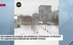 Восьмиклассница из Брянска открыла стрельбу по одноклассникам во время урока