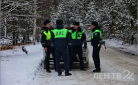 Безопасность во время новогодних праздников обсудили в правительстве Ленобласти