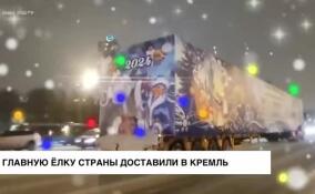 Главную новогоднюю елку страны скоро установят на Красной площади