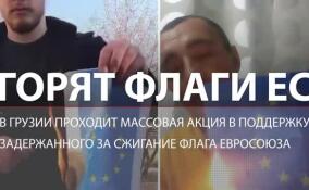 Горят флаги ЕС: в Грузии проходит массовая акция в поддержку задержанного за сжигание флага Евросоюза