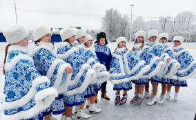 В Сяськелево открыли новый каток для жителей