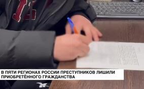 В пяти регионах России преступников лишили приобретенного гражданства