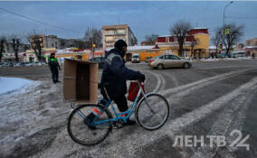 Стало известно, какой будет погода в Ленобласти в последние дни уходящего года