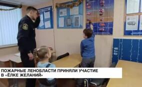 Пожарные Ленобласти приняли участие в «Елке желаний»