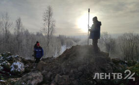 Специалисты взяли пробы грунта на землях Низинского сельского поселении