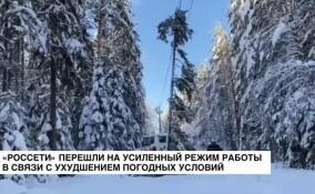 «Россети» перешли на усиленный режим работы в связи с ухудшением погодных условий