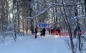 Во Всеволожске прошел первый этап соревнований "Лыжня зовет"