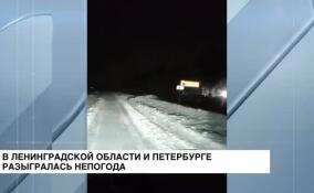 В Петербурге и Ленобласти разыгралась непогода