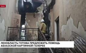 Ленобласть готова предложить помощь абхазской картинной галерее