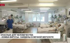 Опасные для человечества «зомби-вирусы» найдены в вечной мерзлоте