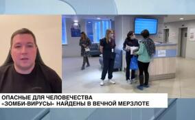 Иммунолог о «зомби-вирусах»: Вероятность не нулевая, а в долгосрочной перспективе — вполне реальная