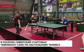 Ленобласть принимает чемпионат СЗФО по настольному теннису