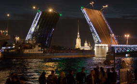 Семь мостов в Петербурге разведут грядущей ночью