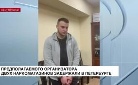 Предполагаемого организатора двух наркомагазинов задержали в Петербурге